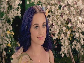 Katy Perry Wide Awake (M)